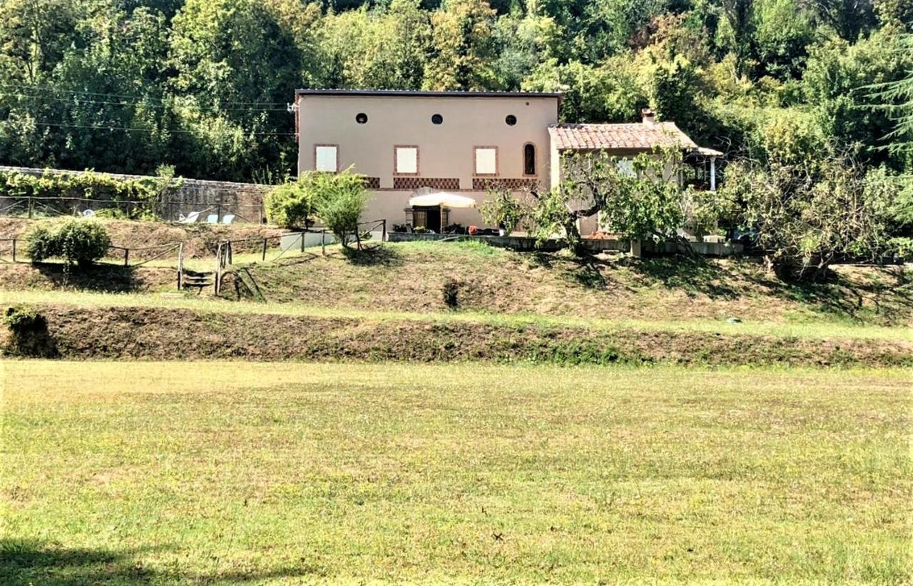Villa Viola ルッカ エクステリア 写真